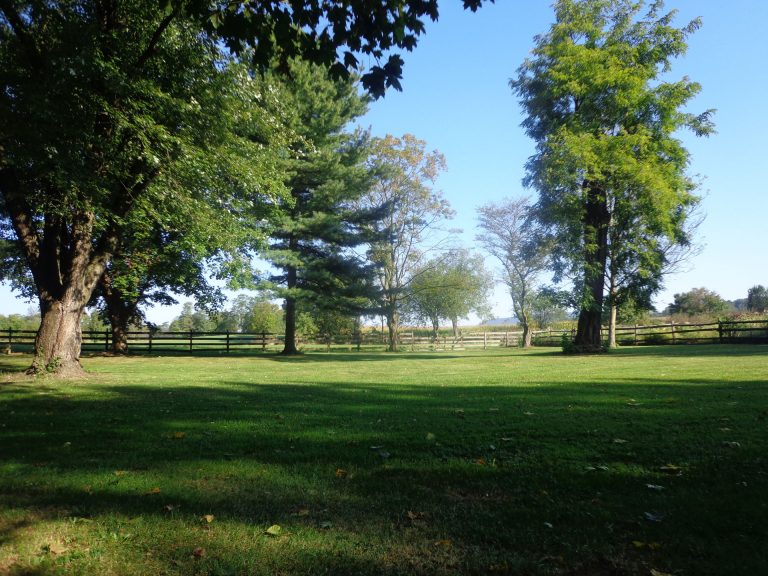 14DSC06583 768x576 1