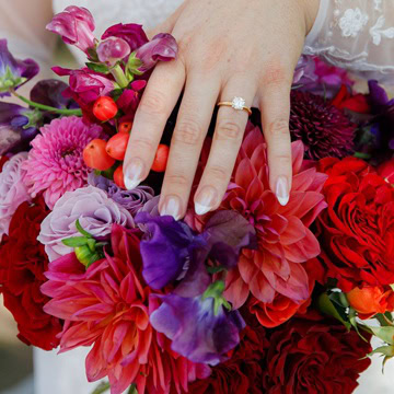 color placard 2