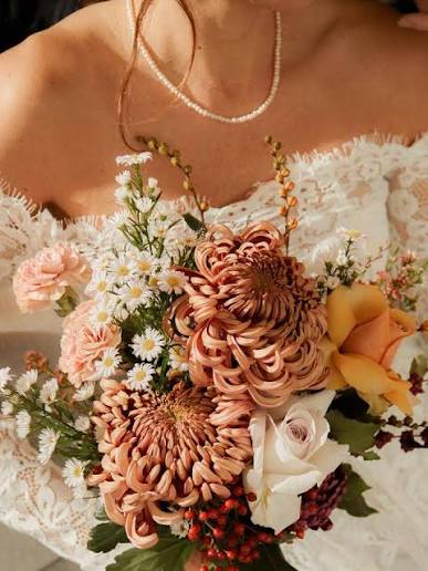 images 1 13